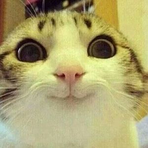 Meet your Posher, Cuddly